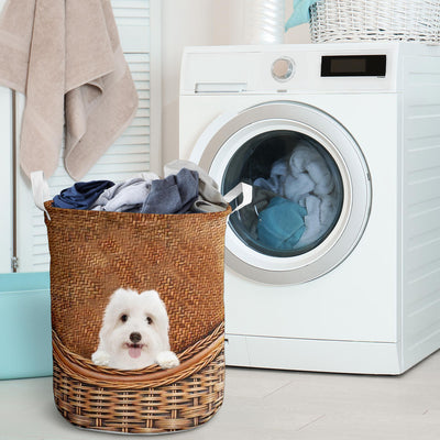 Coton De Tulear - Rattan - LB