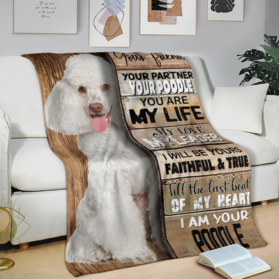 Poodle 3-Your Partner Blanket