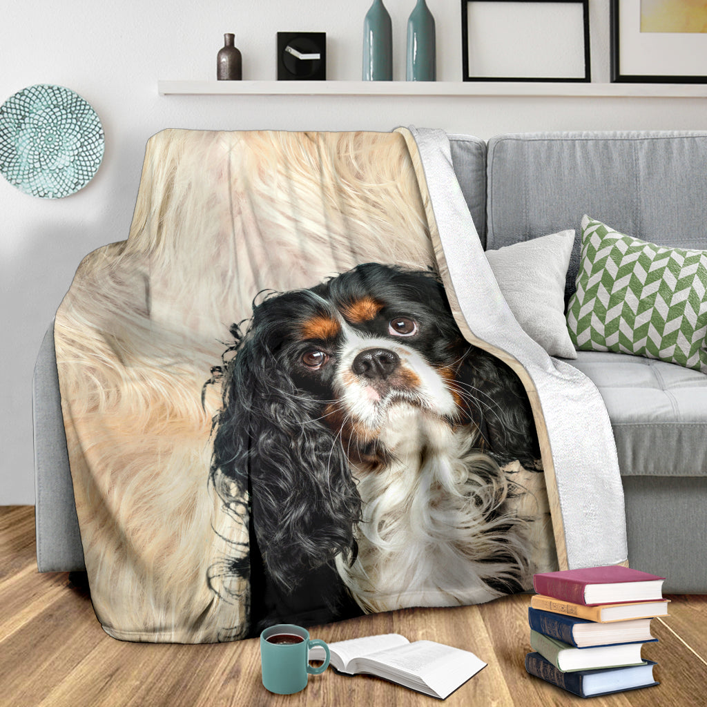 King Charles Spaniel - Blanket - 1225
