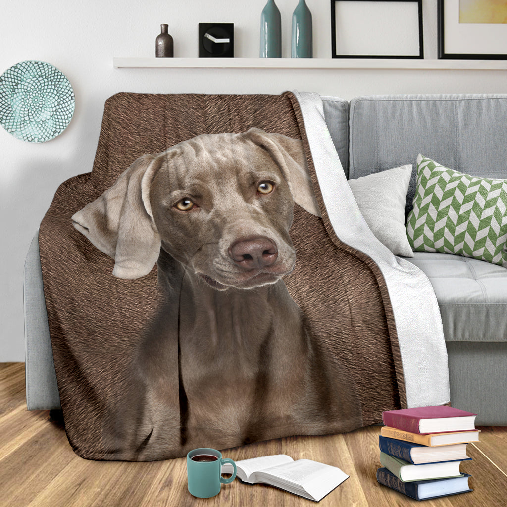Weimaraner - Blanket - 1267