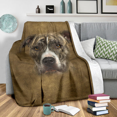 American Staffordshire Terrier Face Hair Blanket