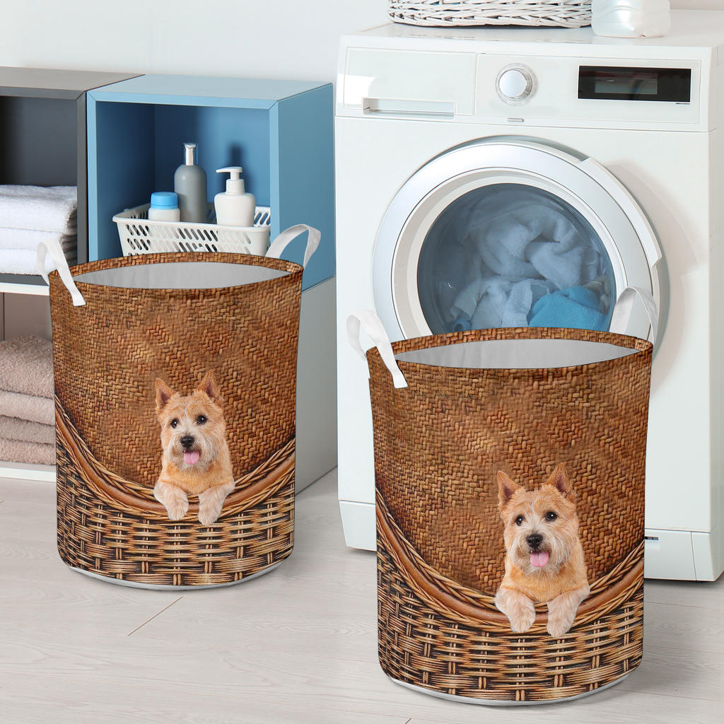 Norwich Terrier - Rattan - LB