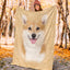 Corgi 1 Face Hair Blanket
