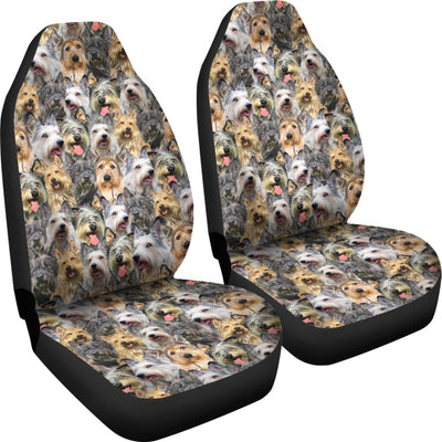 Berger Picard Full Face Car Seat Covers