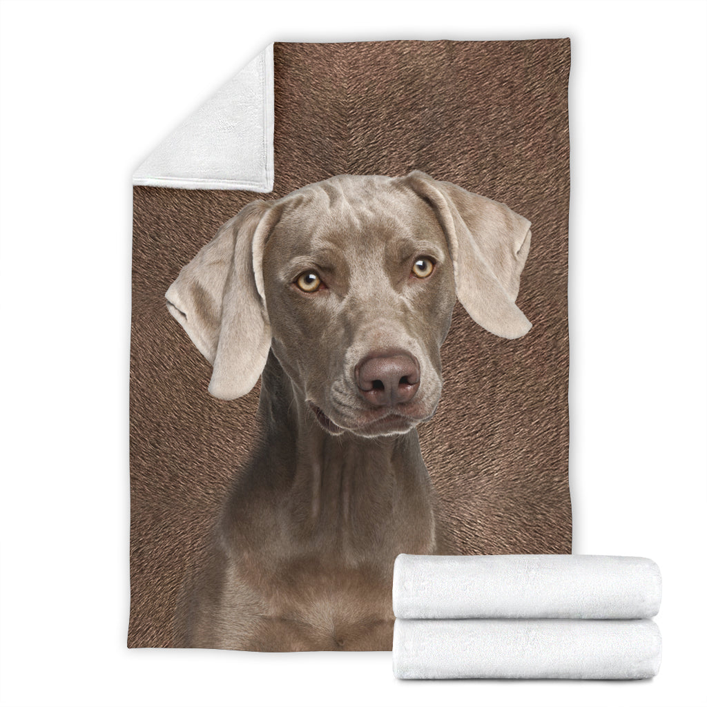 Weimaraner - Blanket - 1267