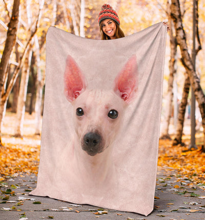 American Hairless Terrier Face Hair Blanket