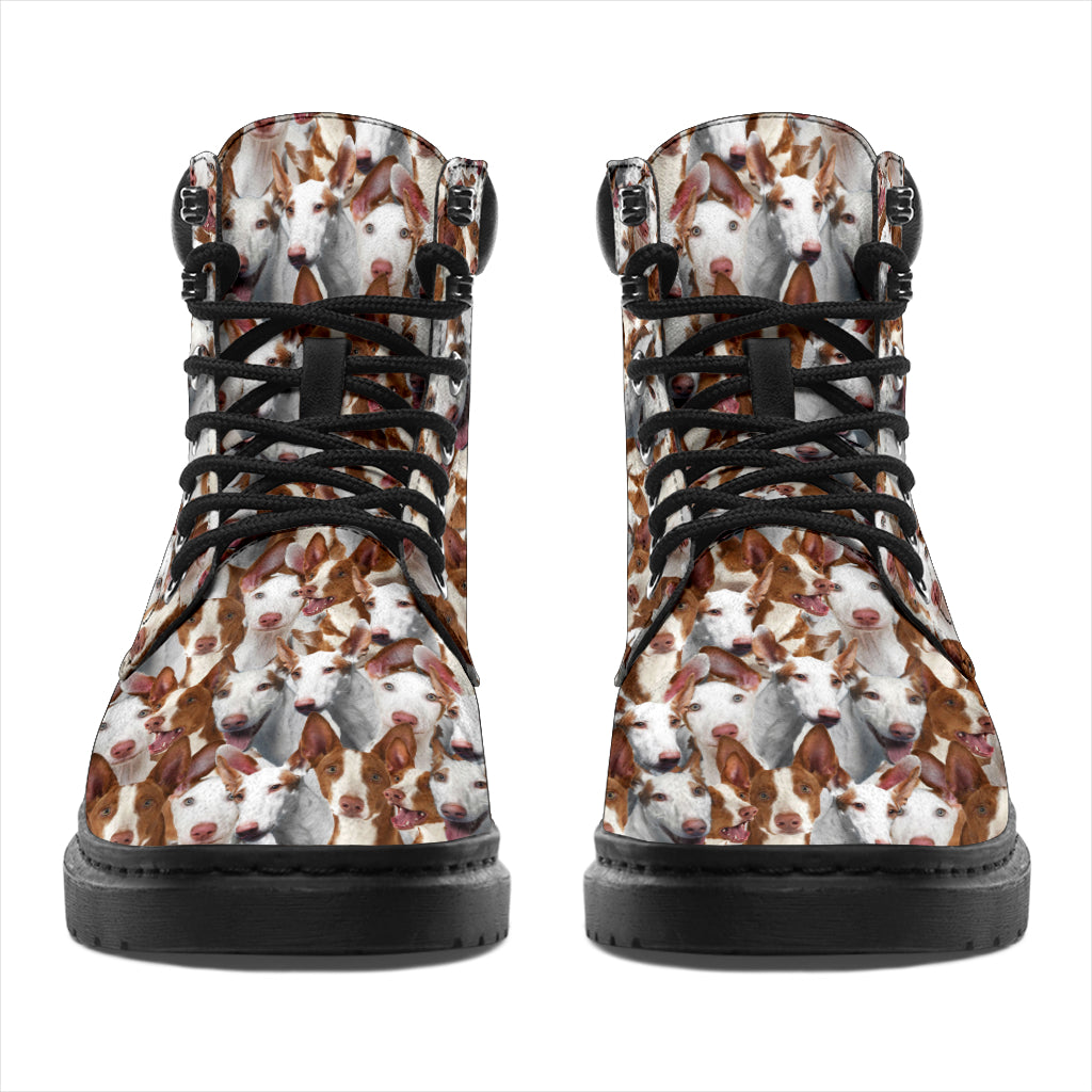 Ibizan Hound Full Face All-Season Boots