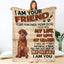Irish Setter-My Love Blanket