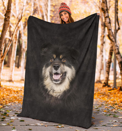 Finnish Lapphund Face Hair Blanket