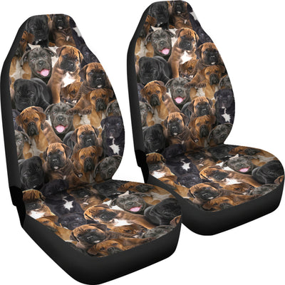 Cane Corso Full Face Car Seat Covers