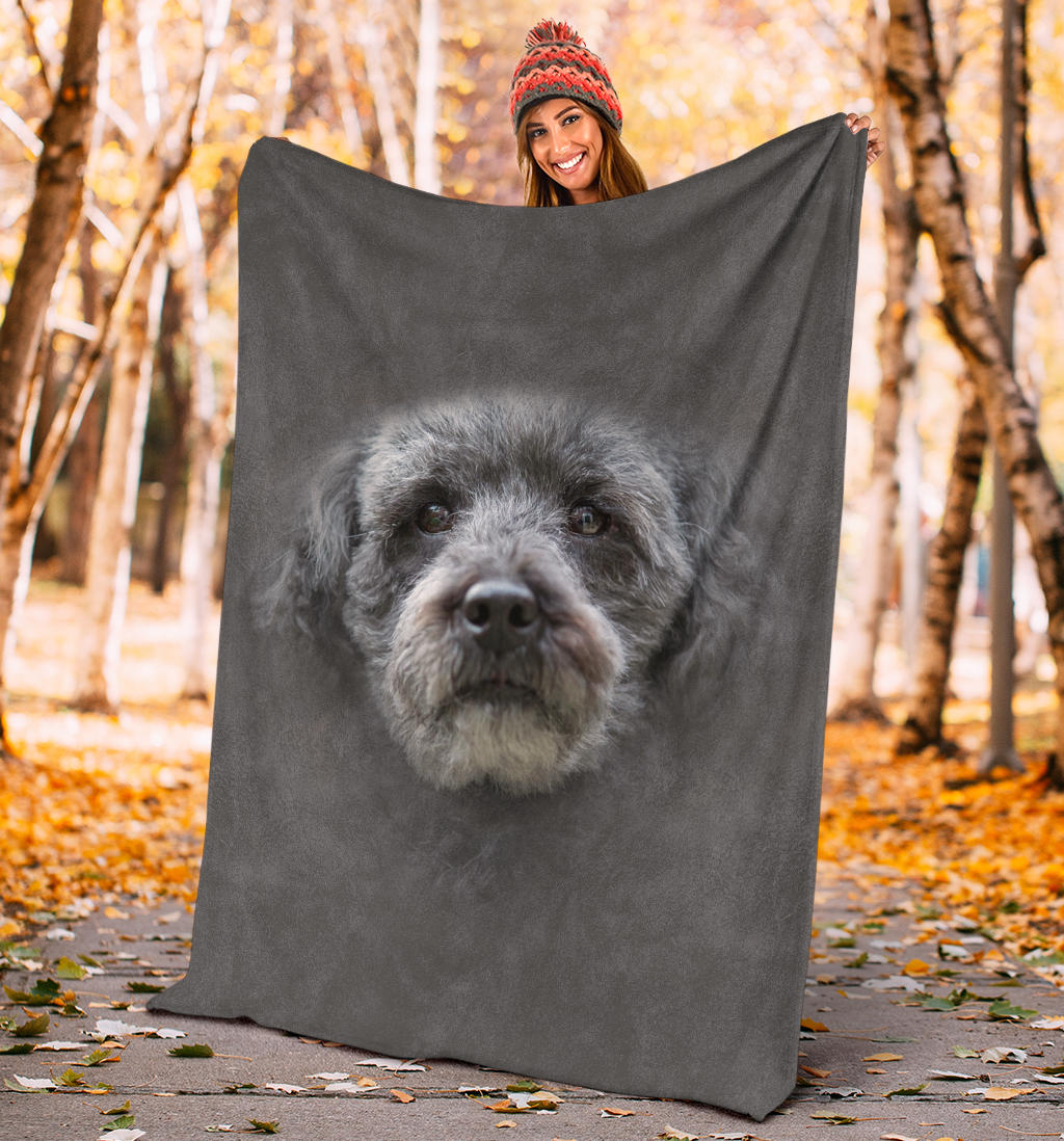 Schnoodle Face Hair Blanket