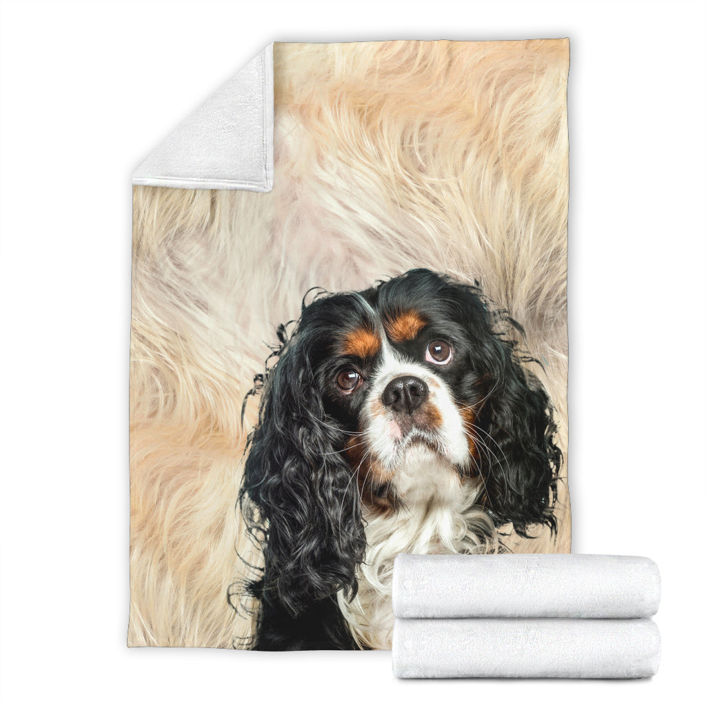 King Charles Spaniel - Blanket - 1225