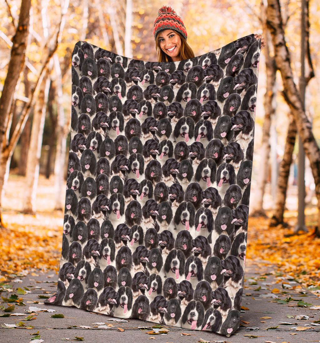 Landseer Full Face Blanket