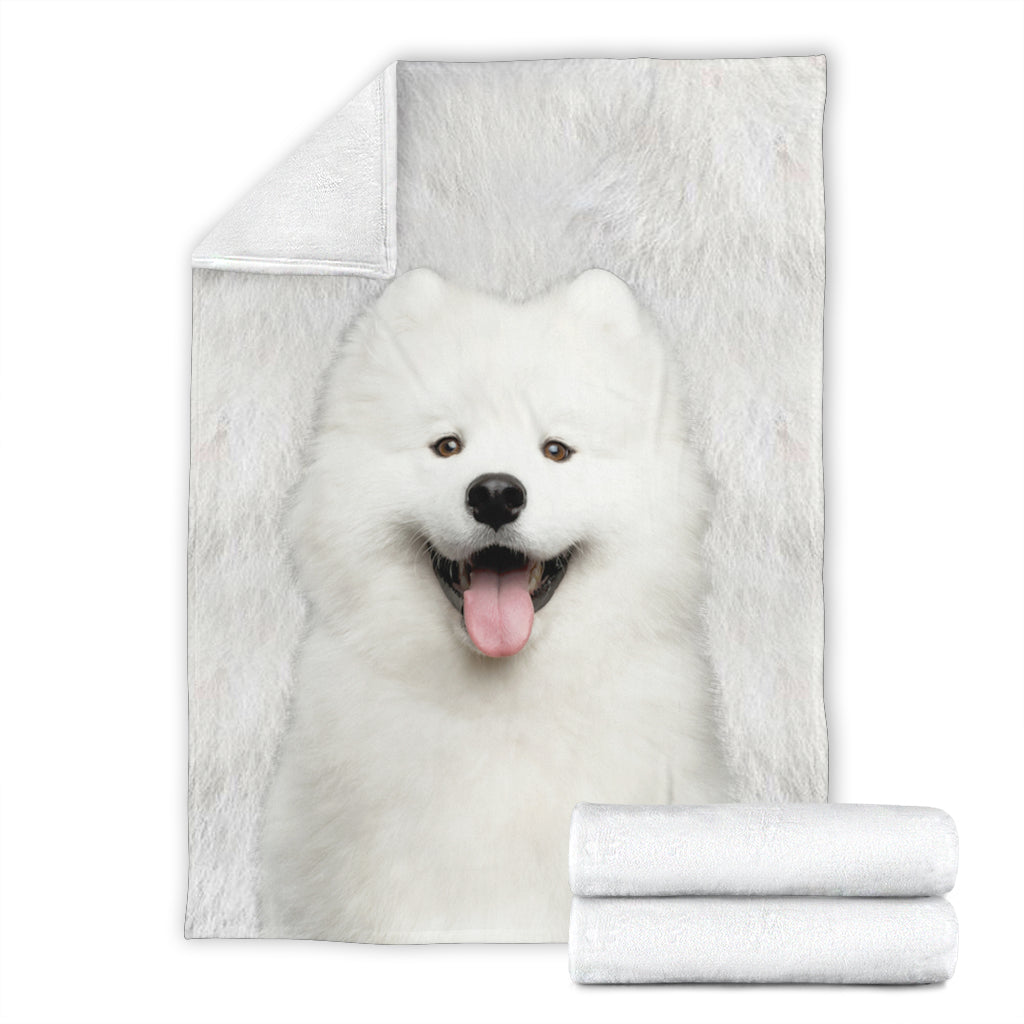 Samoyed - Blanket - 1244