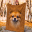Pomeranian Face Hair Blanket