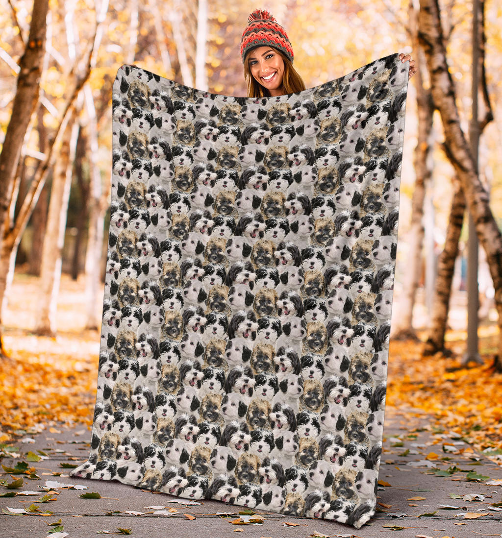 Maltipoo Full Face Blanket