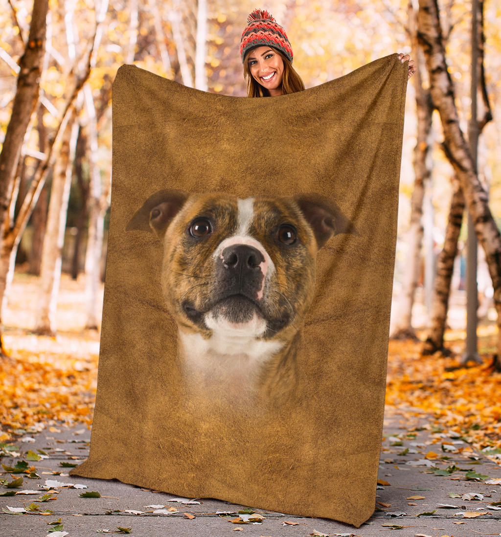 Staffordshire Bull Terrier Face Hair Blanket