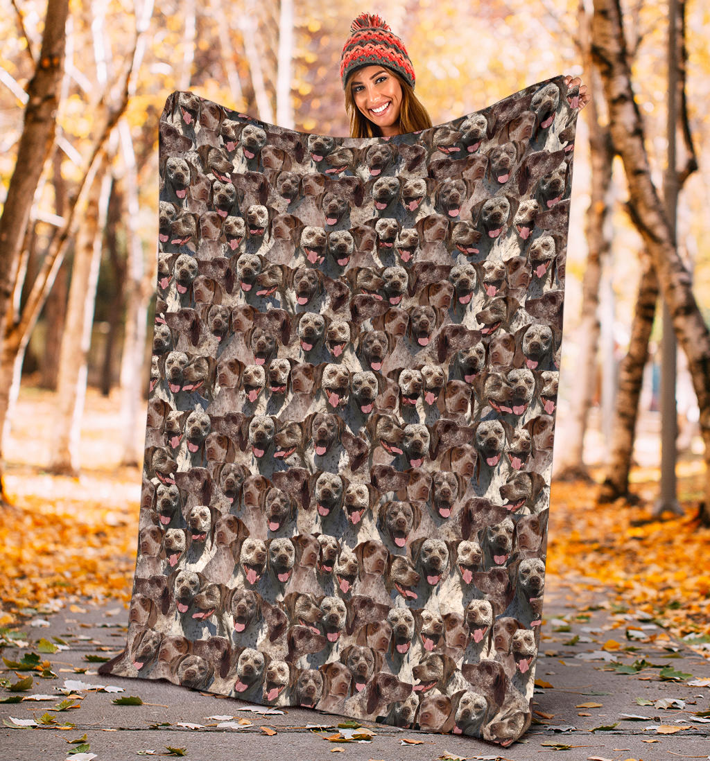 Braque du Bourbonnais Full Face Blanket