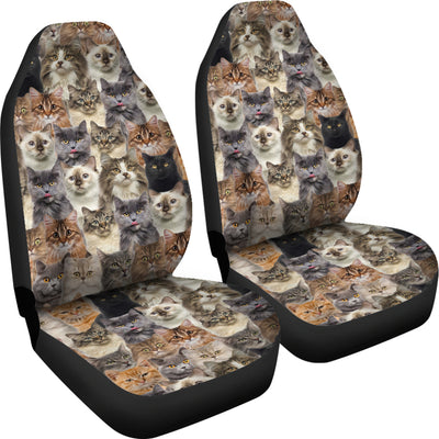 Cat Full Face Car Seat Covers