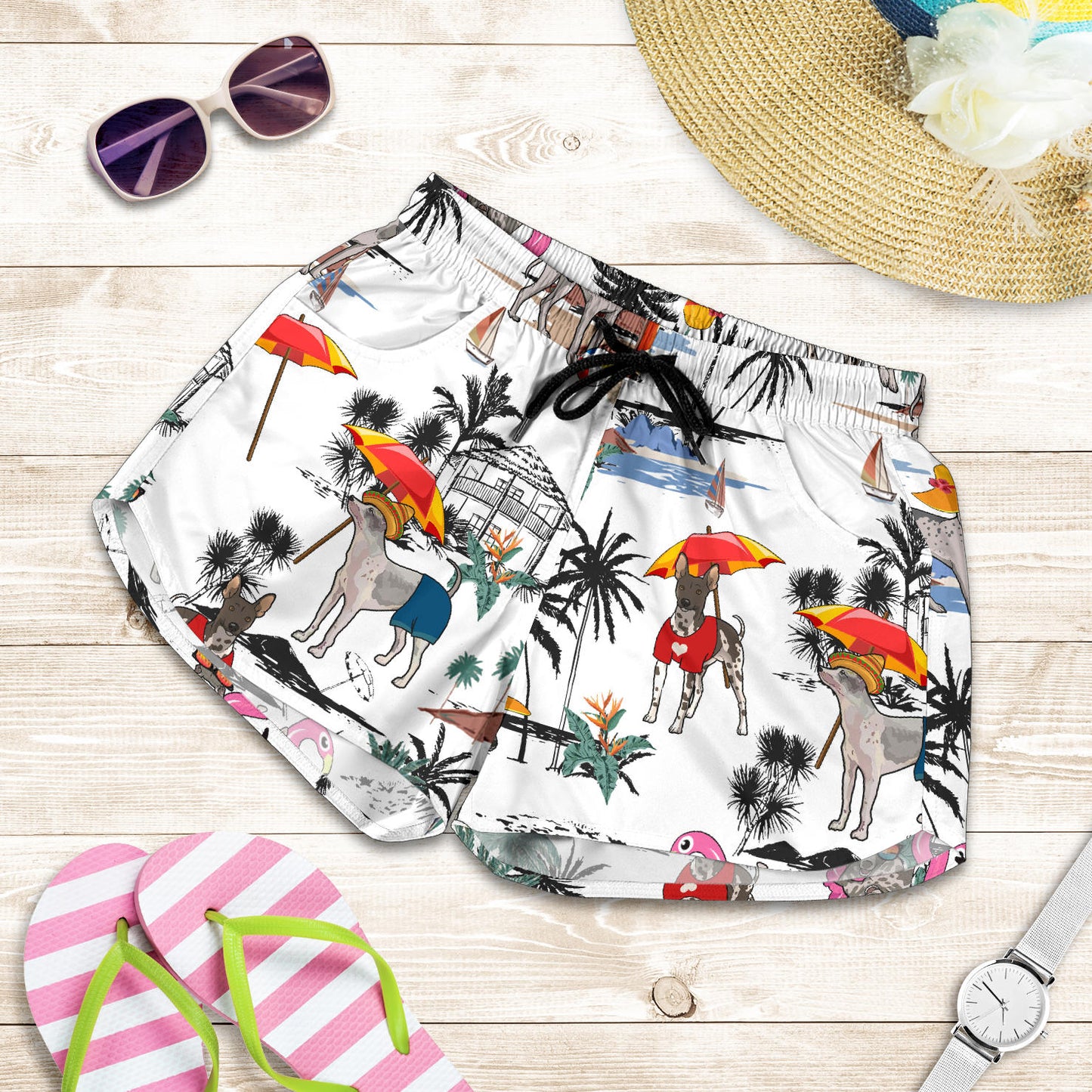 American Hairless Terrier-Summer Beach-SW