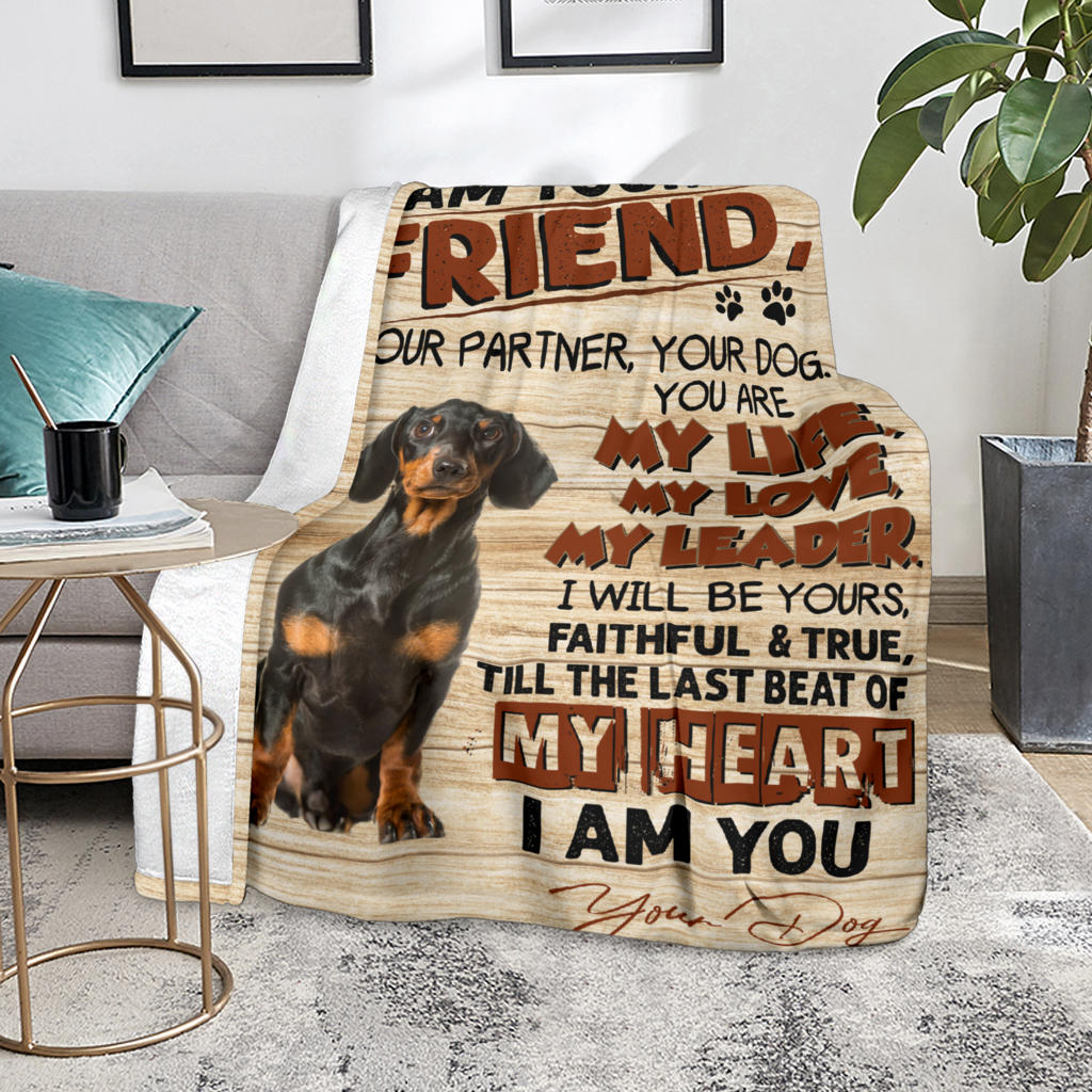 Dachshund 3-My Love Blanket