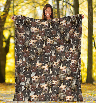 American Pit Bull Terrier Full Face Blanket