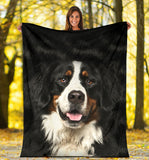 Bernese Mountain Dog 2 Face Hair Blanket