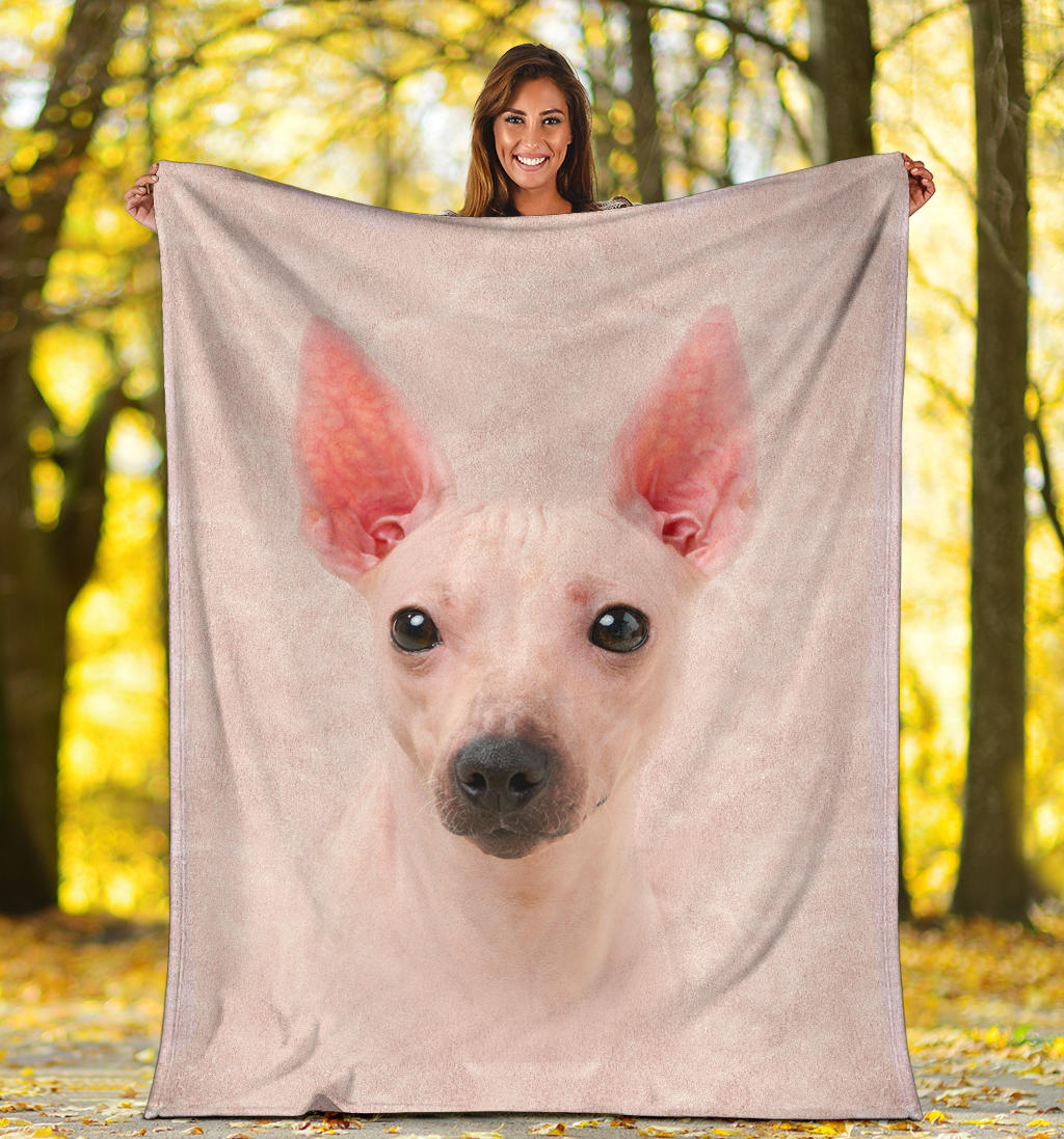 American Hairless Terrier Face Hair Blanket