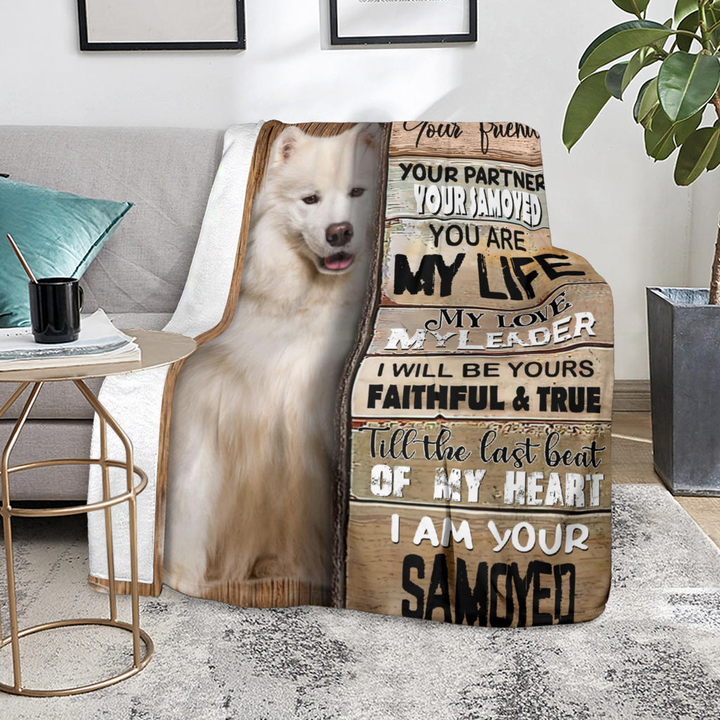 Samoyed-Your Partner Blanket