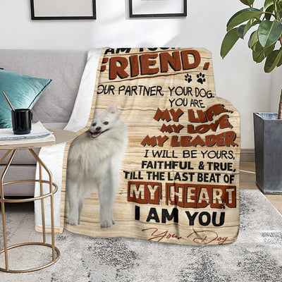 American Eskimo-My Love Blanket