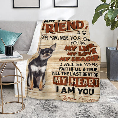 Chihuahua 3-My Love Blanket