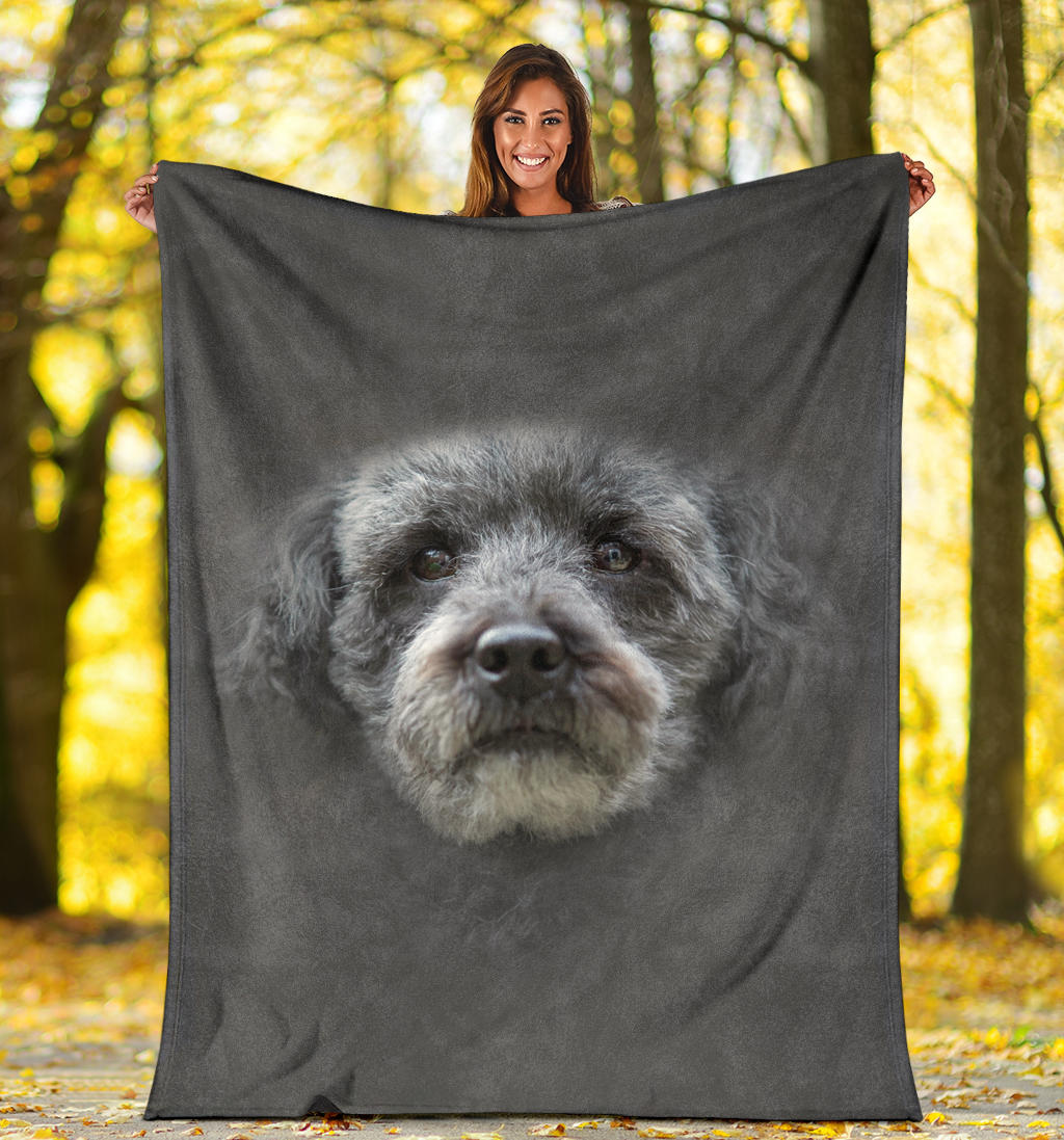 Schnoodle Face Hair Blanket