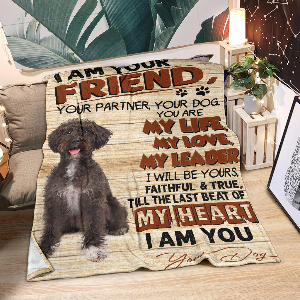 Schnoodle-My Love Blanket