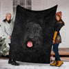 Scottish Terrier Face Hair Blanket