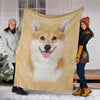 Corgi 1 Face Hair Blanket