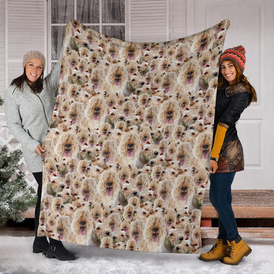 Lakeland Terrier Full Face Blanket