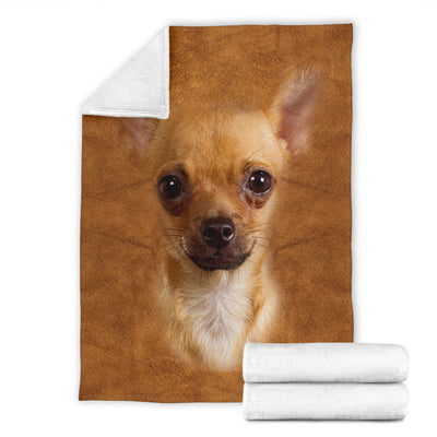 Chihuahua 2 Face Hair Blanket