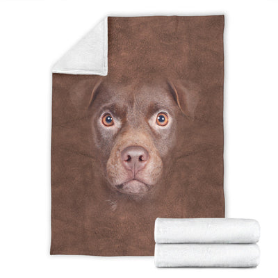 Patterdale Terrier Face Hair Blanket