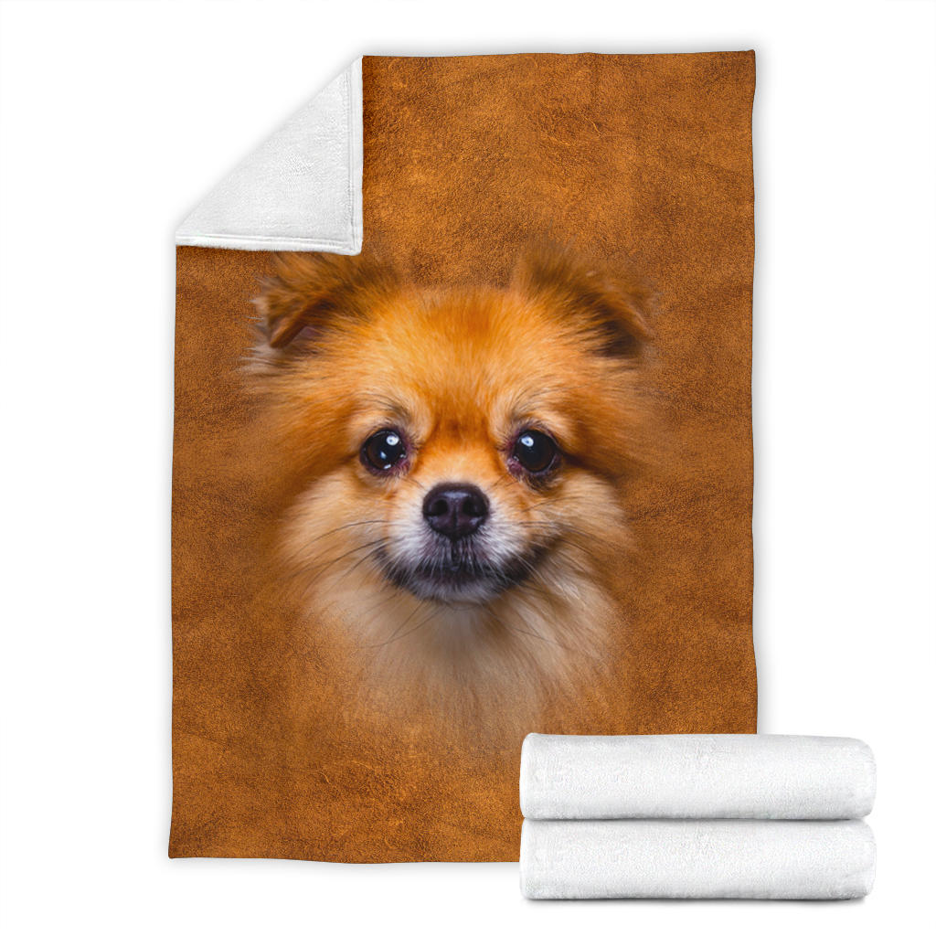 Pomeranian Face Hair Blanket