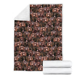 Boykin Spaniel Full Face Blanket