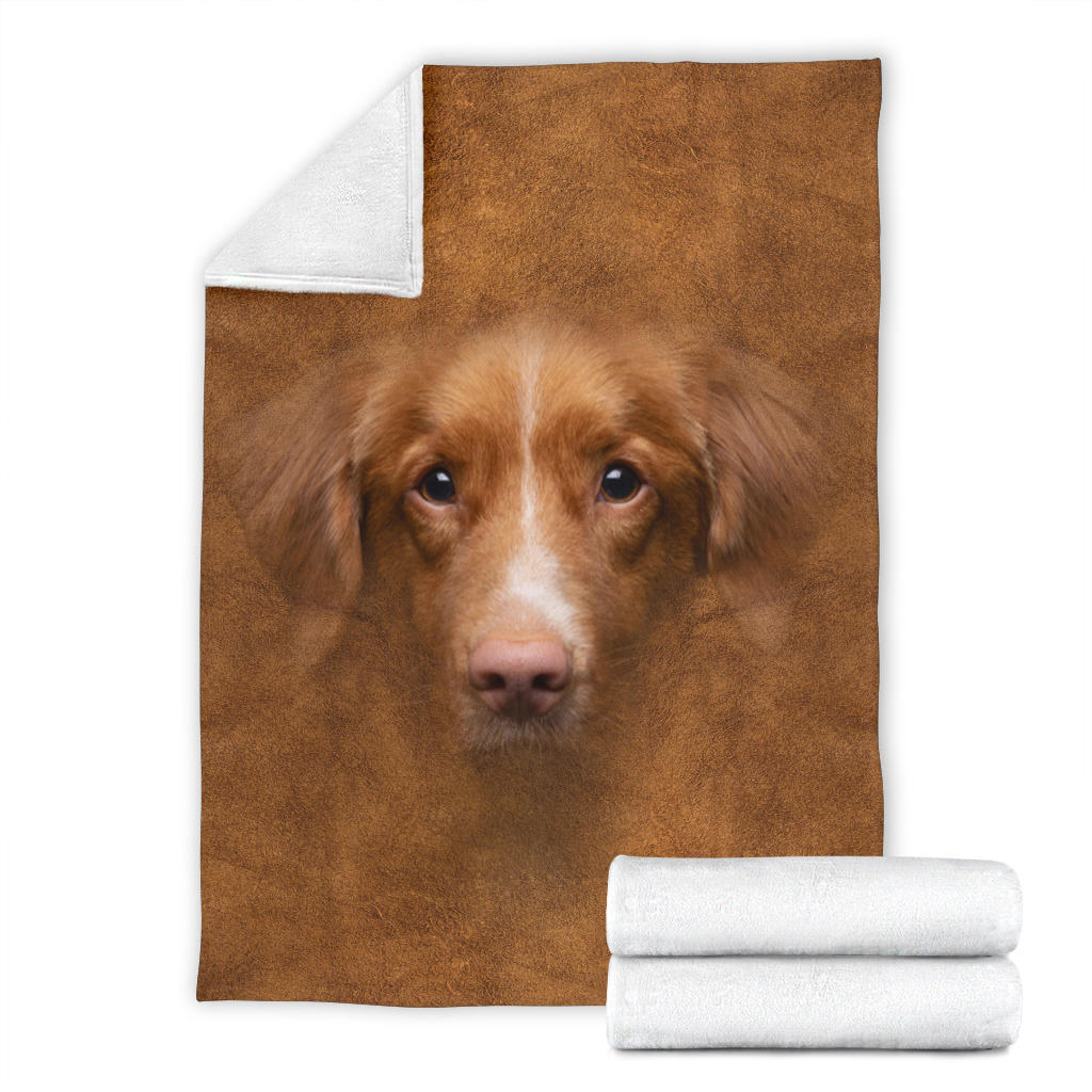 Nova Scotia Duck Tolling Retriever Face Hair Blanket