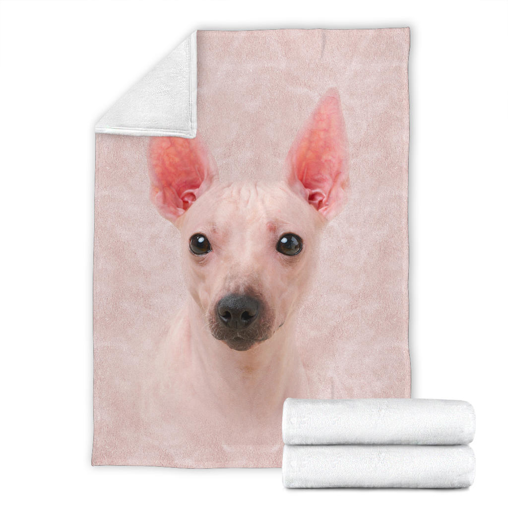 American Hairless Terrier Face Hair Blanket