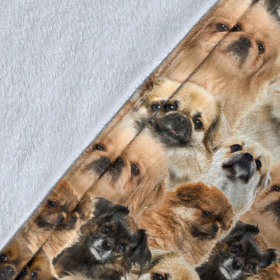 Tibetan Spaniel Full Face Blanket