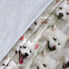 American Eskimo Dog Full Face Blanket