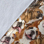 English Bulldog Full Face Blanket