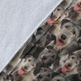 Irish Wolfhound Full Face Blanket