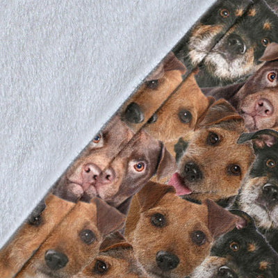 Patterdale Terrier Full Face Blanket