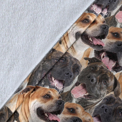 Perro de Presa Mallorquin Full Face Blanket