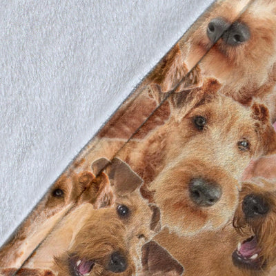 Irish Terrier Full Face Blanket