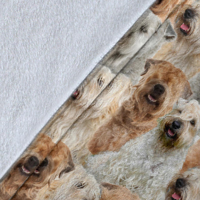 Soft-coated Wheaten Terrier Full Face Blanket